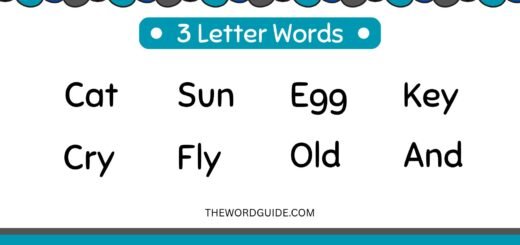 3 Letter Words