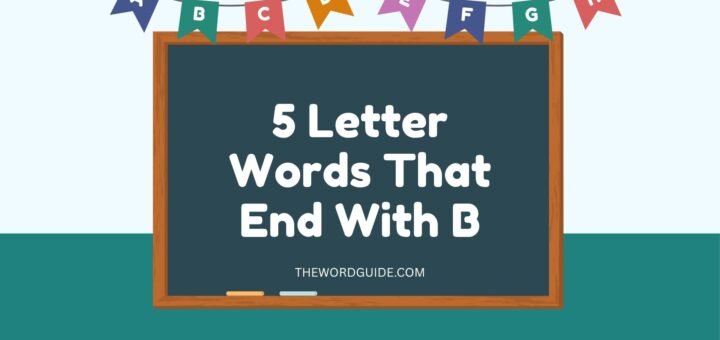 5 Letter Words That End With B
