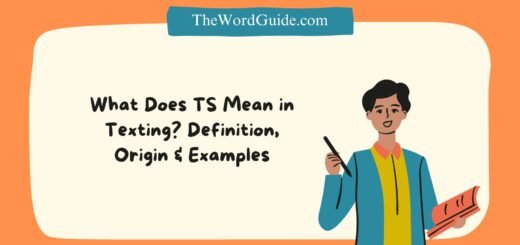TS Meaning in Texting