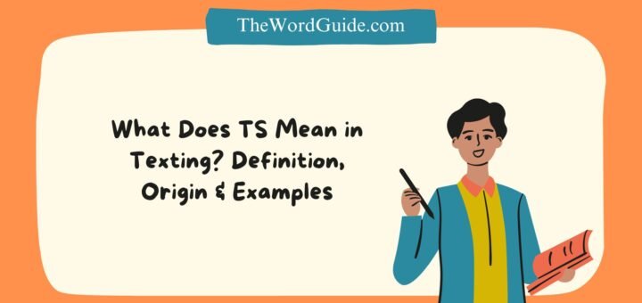 TS Meaning in Texting